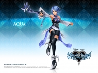 Kingdom Hearts BbS 04